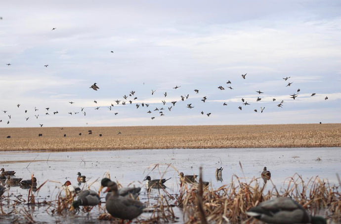 One Season, 12,000 Miles, New Species, and Lifelong Friendships