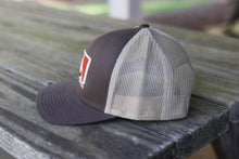 Brown/Khaki 3D Logo Hat