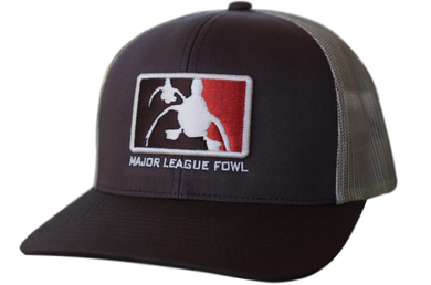 Brown/Khaki 3D Logo Hat